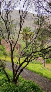 GC-Caldera de Bandama 2026-066.jpg